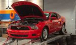 How Often Do Mustangs Need Maintenance?