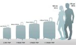 What size is considered large suitcase?