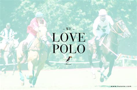 Why do people love polo?